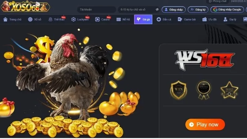 Đá Gà tại xoso66