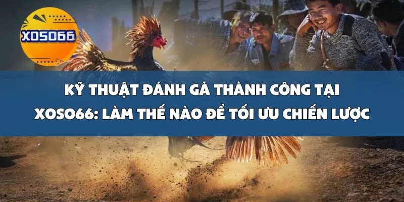 Kỹ Thuật Đánh Gà Thành Công Tại Xoso66: Làm Thế Nào Để Tối Ưu Chiến Lược