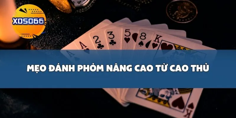 Mẹo Đánh Phỏm Nâng Cao Từ Cao Thủ